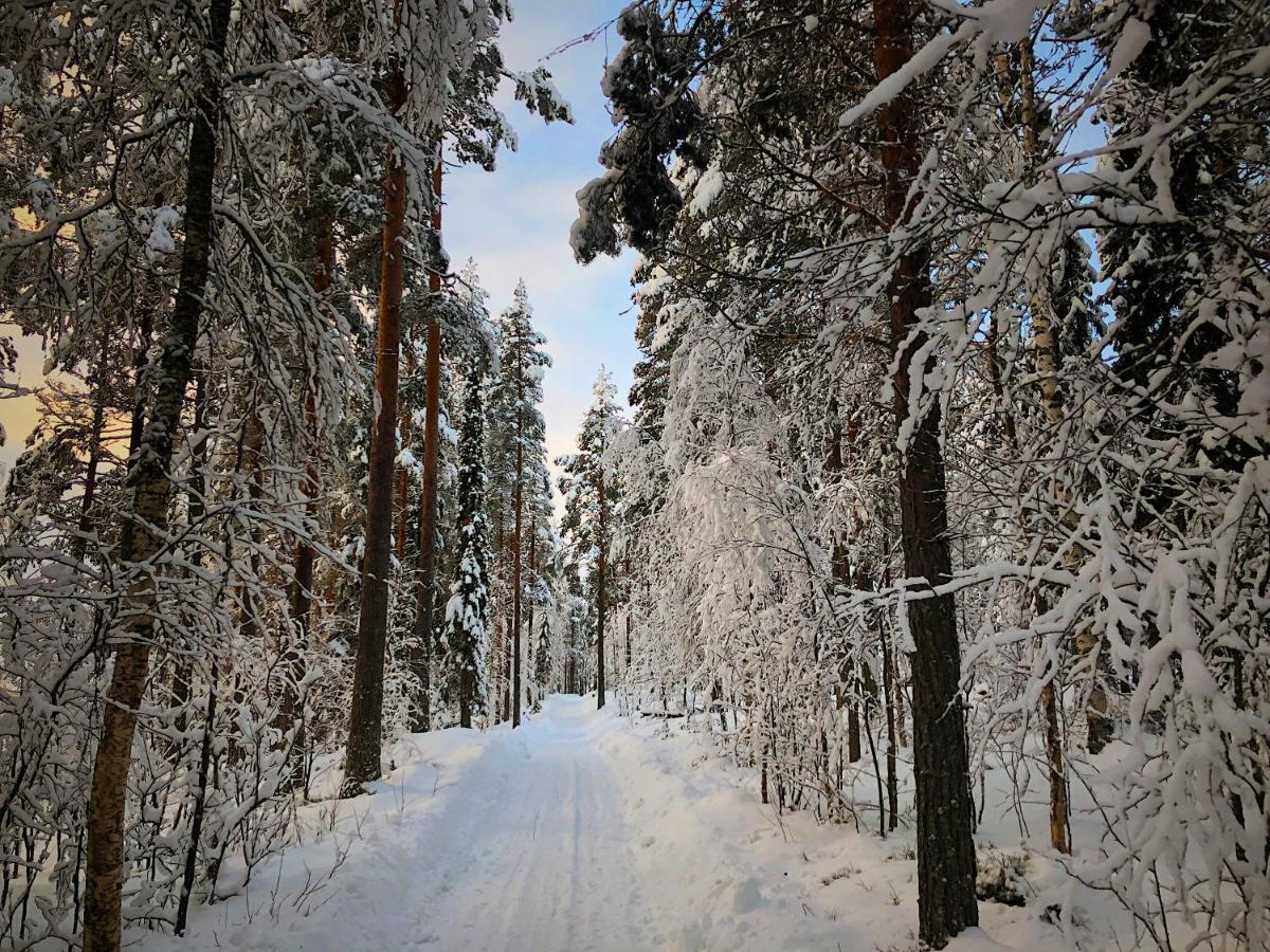 Vildmarks Lodge Ytterhogdal Экстерьер фото