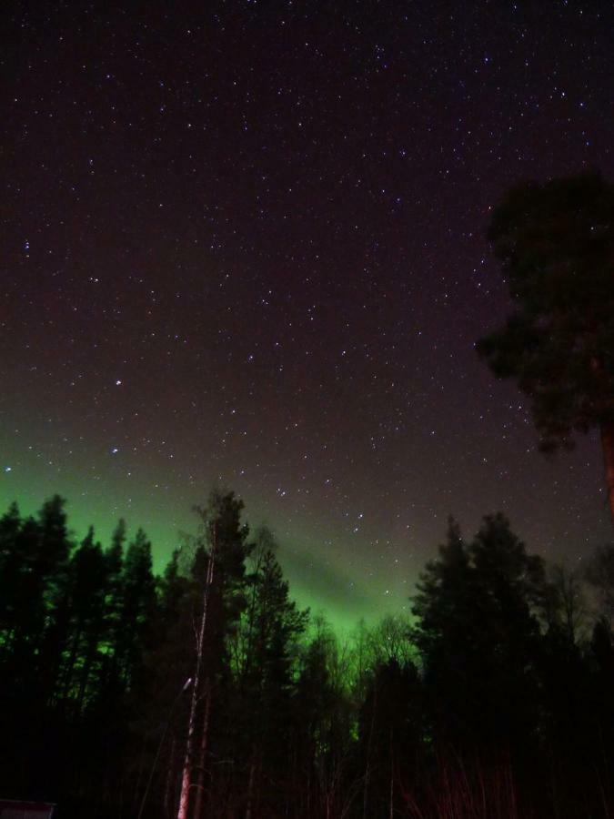 Vildmarks Lodge Ytterhogdal Экстерьер фото