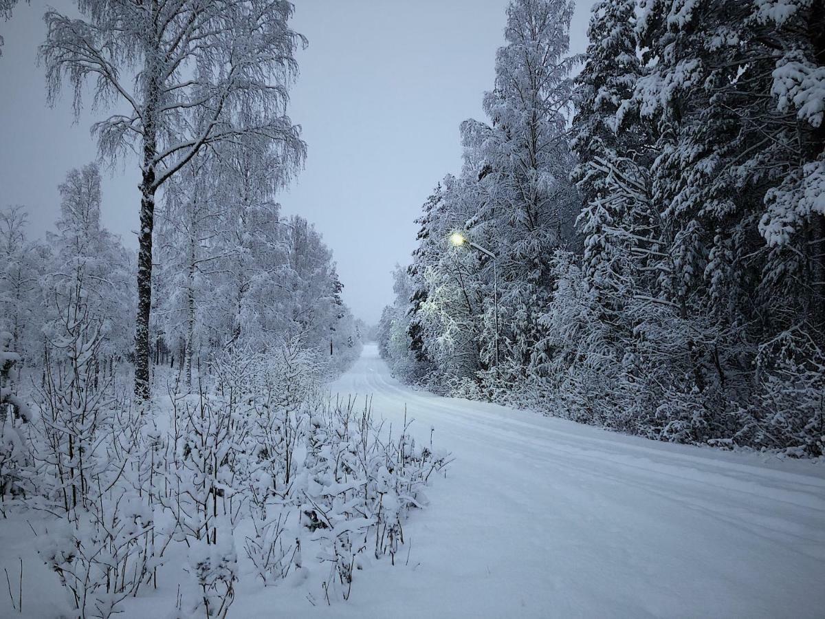 Vildmarks Lodge Ytterhogdal Экстерьер фото